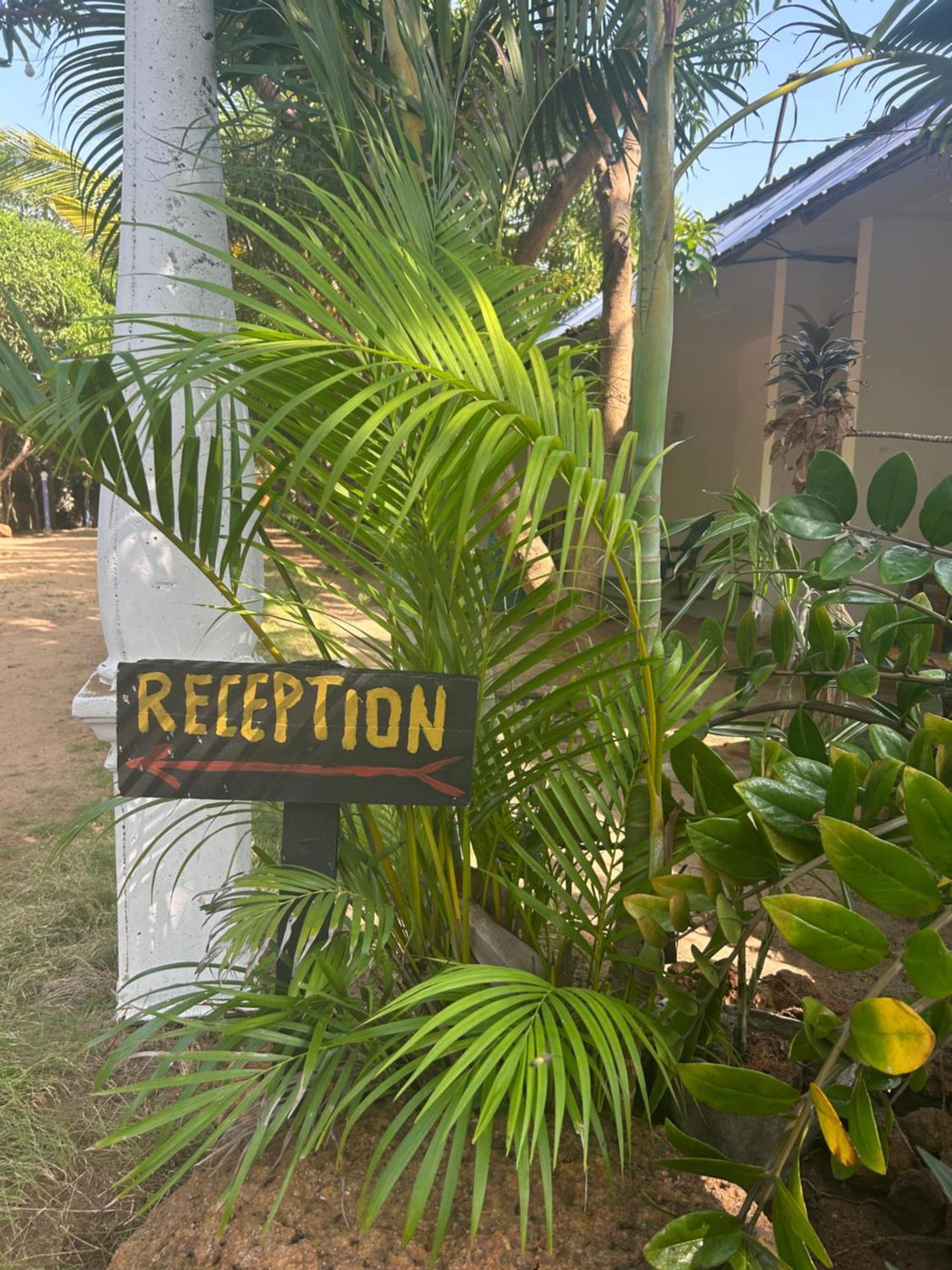 Starfish Beach Bungalow อารูกัมเบย์ ภายนอก รูปภาพ